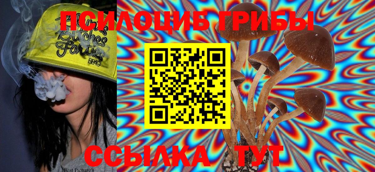 Нижний Новгород  Псилоцибиновые грибы MAGIC MUSHROOMS  Вход с VPN 