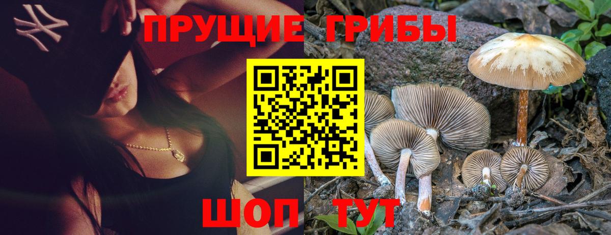 Галлюциногенные грибы ЛСД Нижний Новгород